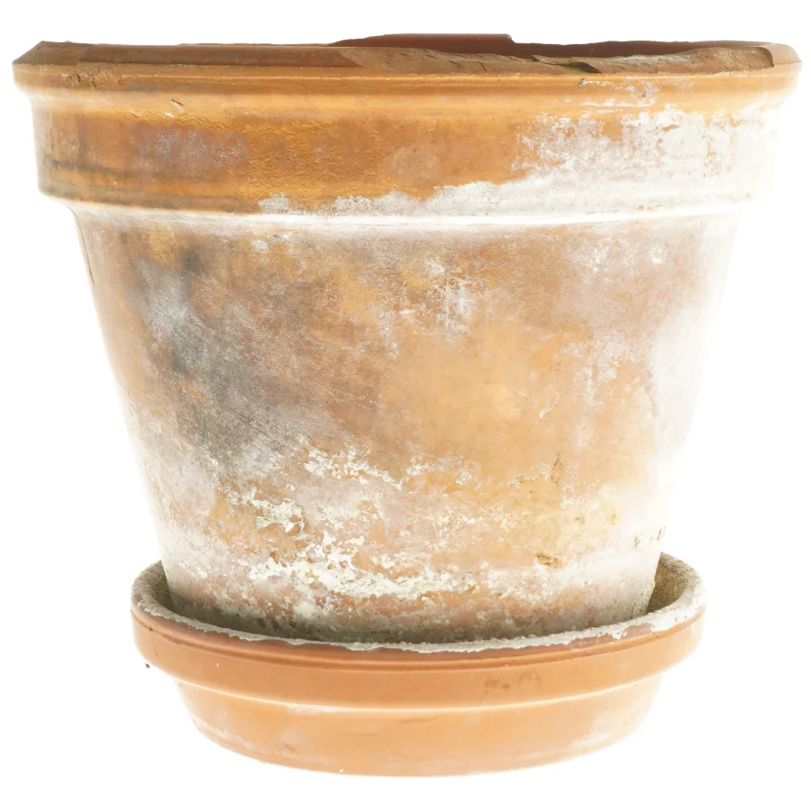 Terracotta urtepotte med underskål (str. 20x17 cm)