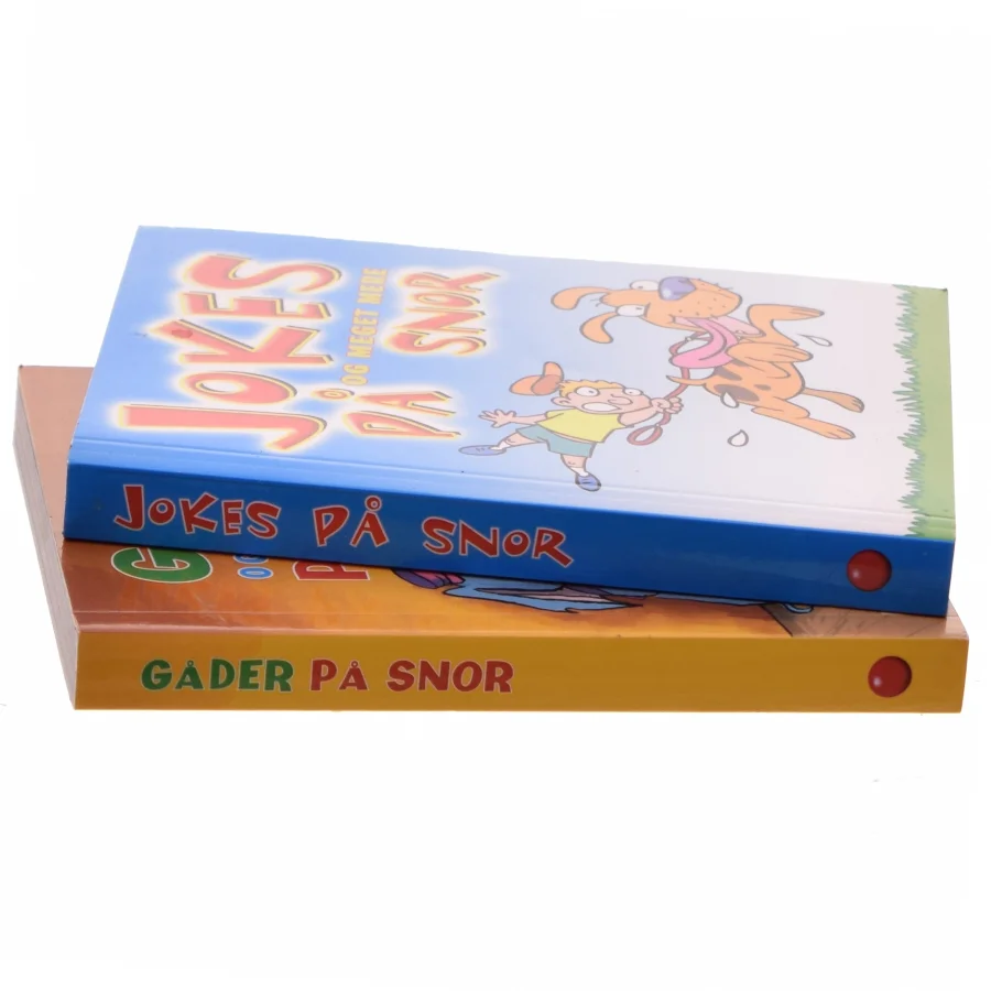 Gåder og meget mere på snor (Bog)