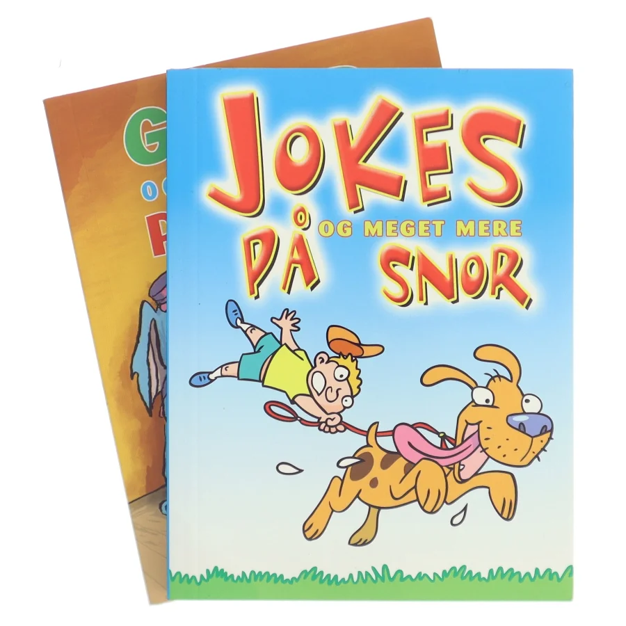 Gåder og meget mere på snor (Bog)