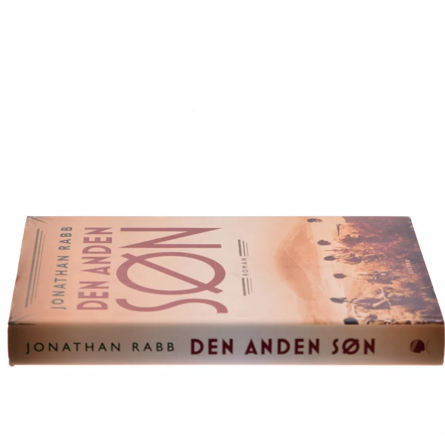 Den anden søn af Jonathan Rabb (Bog)