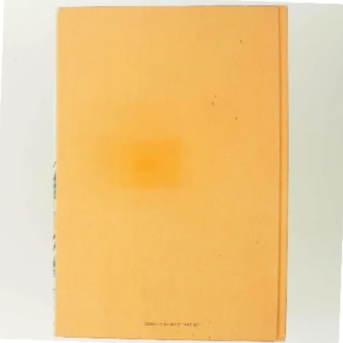 Peter Plys: Æselets store dag af  (Bog)