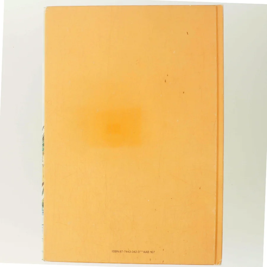 Peter Plys: Æselets store dag af  (Bog)