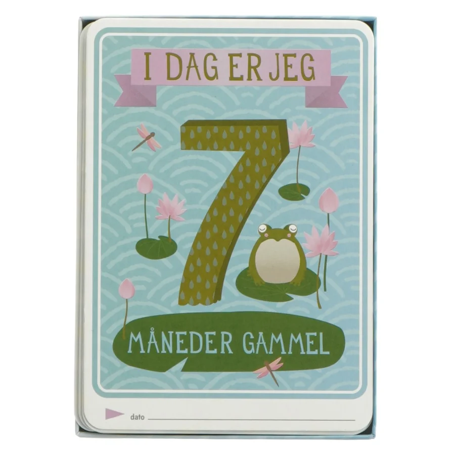 Milestone Baby Cards fra Milstone (str. 30 kort)