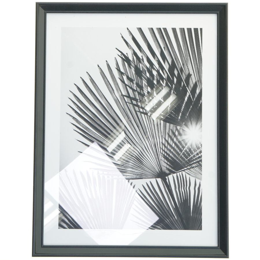 Indrammet sort-hvid foto af palmeblade fra IKEA (str. 42,5x32,5 cm)