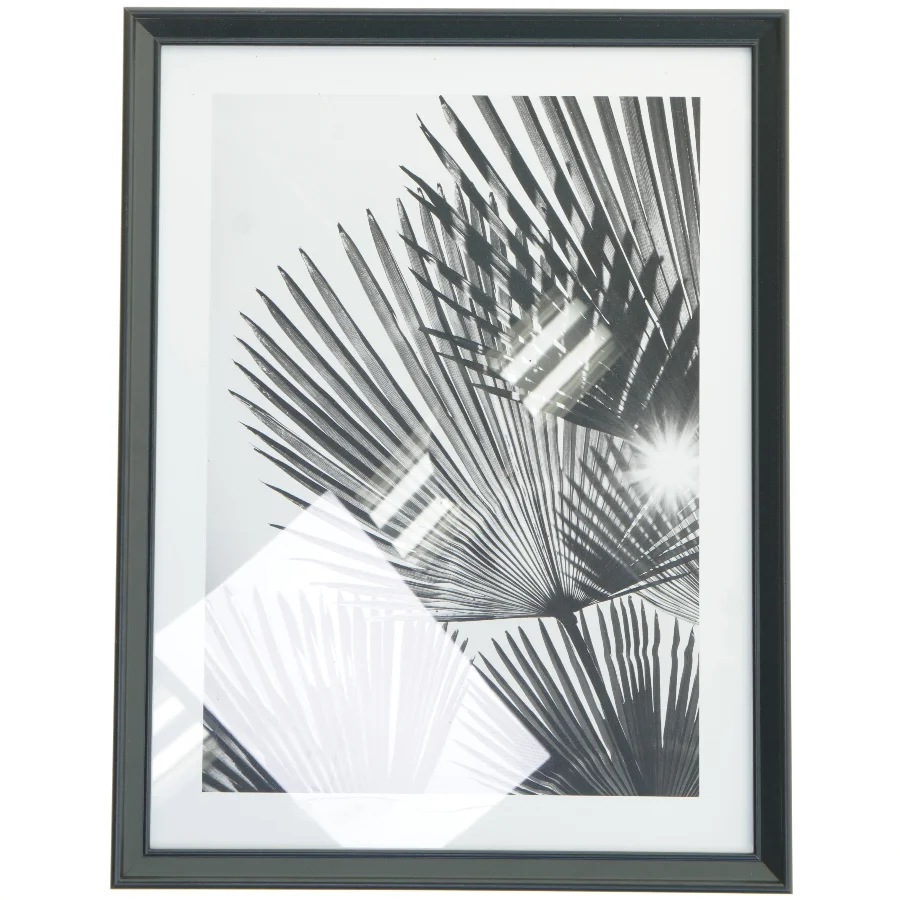 Indrammet sort-hvid foto af palmeblade fra IKEA (str. 42,5x32,5 cm)