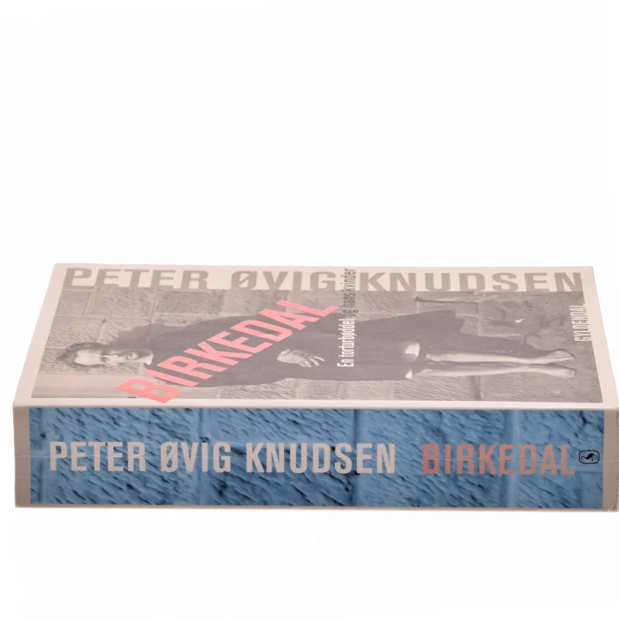 Birkedal : en torturbøddel og hans kvinder af Peter Øvig Knudsen (Bog)