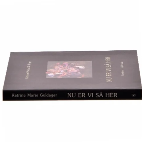 Nu er vi så her : noveller af Katrine Marie Guldager (Bog)