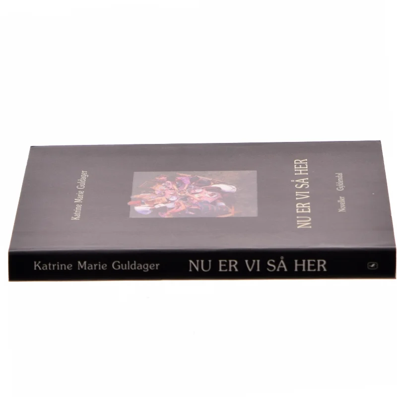 Nu er vi så her : noveller af Katrine Marie Guldager (Bog)