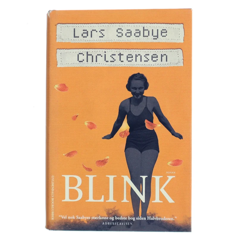 Blink af Lars Saabye Christensen (f. 1953) (Bog)