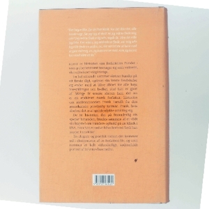 Blink af Lars Saabye Christensen (f. 1953) (Bog)