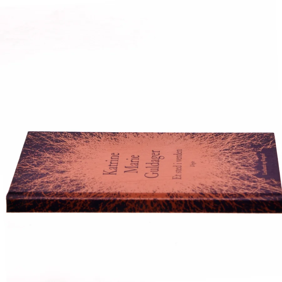 Et sted i verden af Katrine Marie Guldager (Bog)