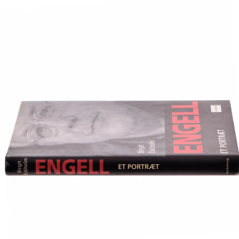 Engell - et portræt af Birgit Eskholm (Bog)