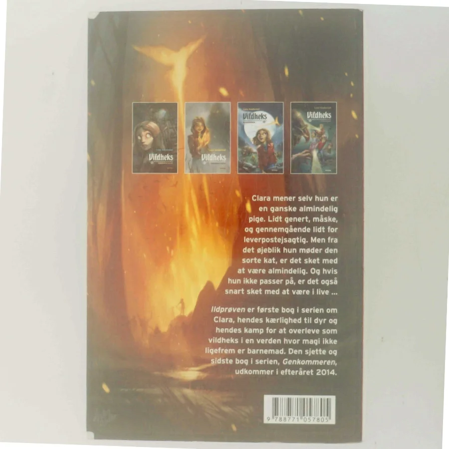 Vildheks : Ildprøven af Lene Kaaberbøl (Bog)