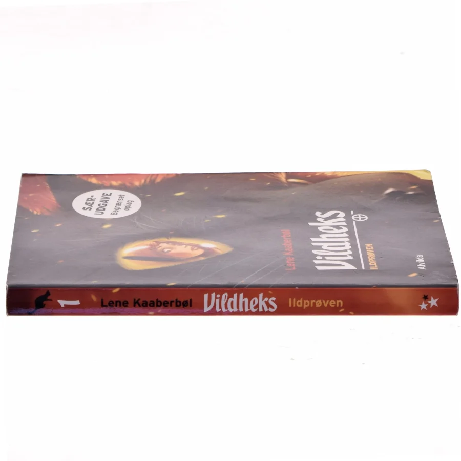 Vildheks : Ildprøven af Lene Kaaberbøl (Bog)