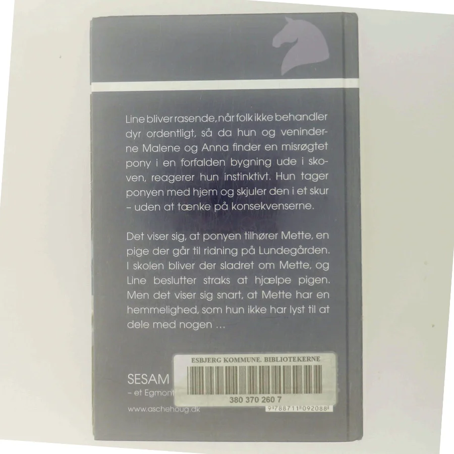 Nye Veninder af Eva Andersen (Bog)