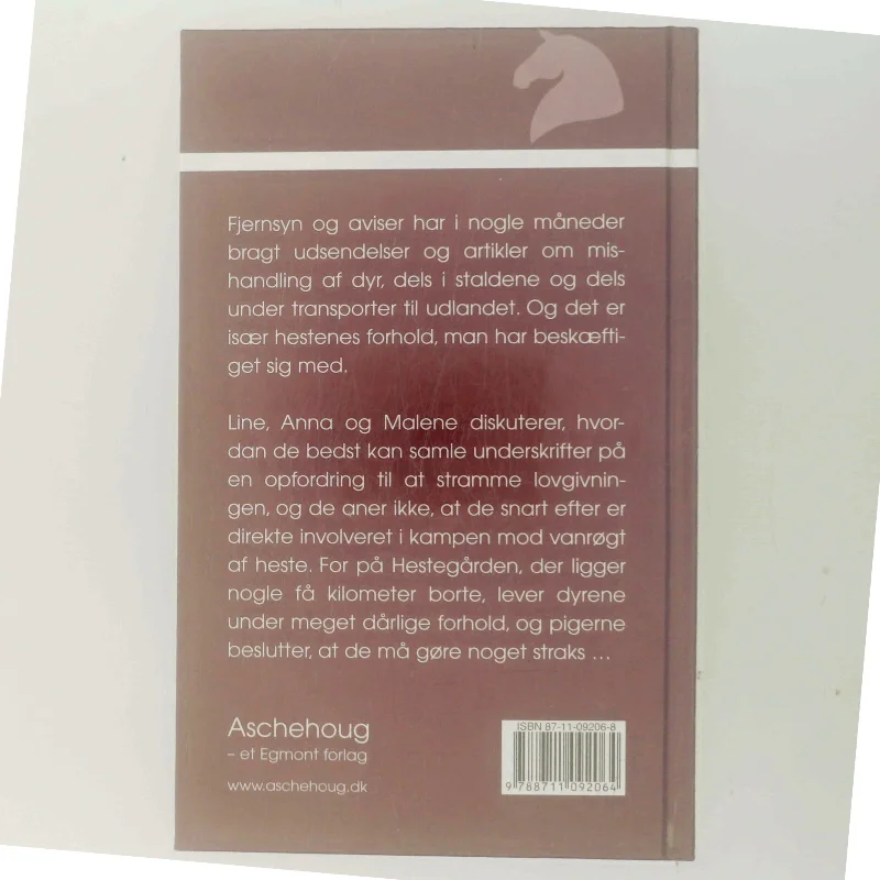 En farlig plan af Eva Andersen (f. 1937) (Bog)