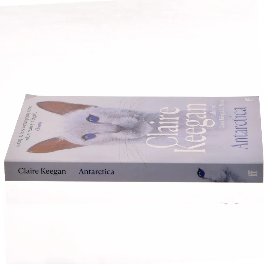 Antarctica af Claire Keegan (Bog)