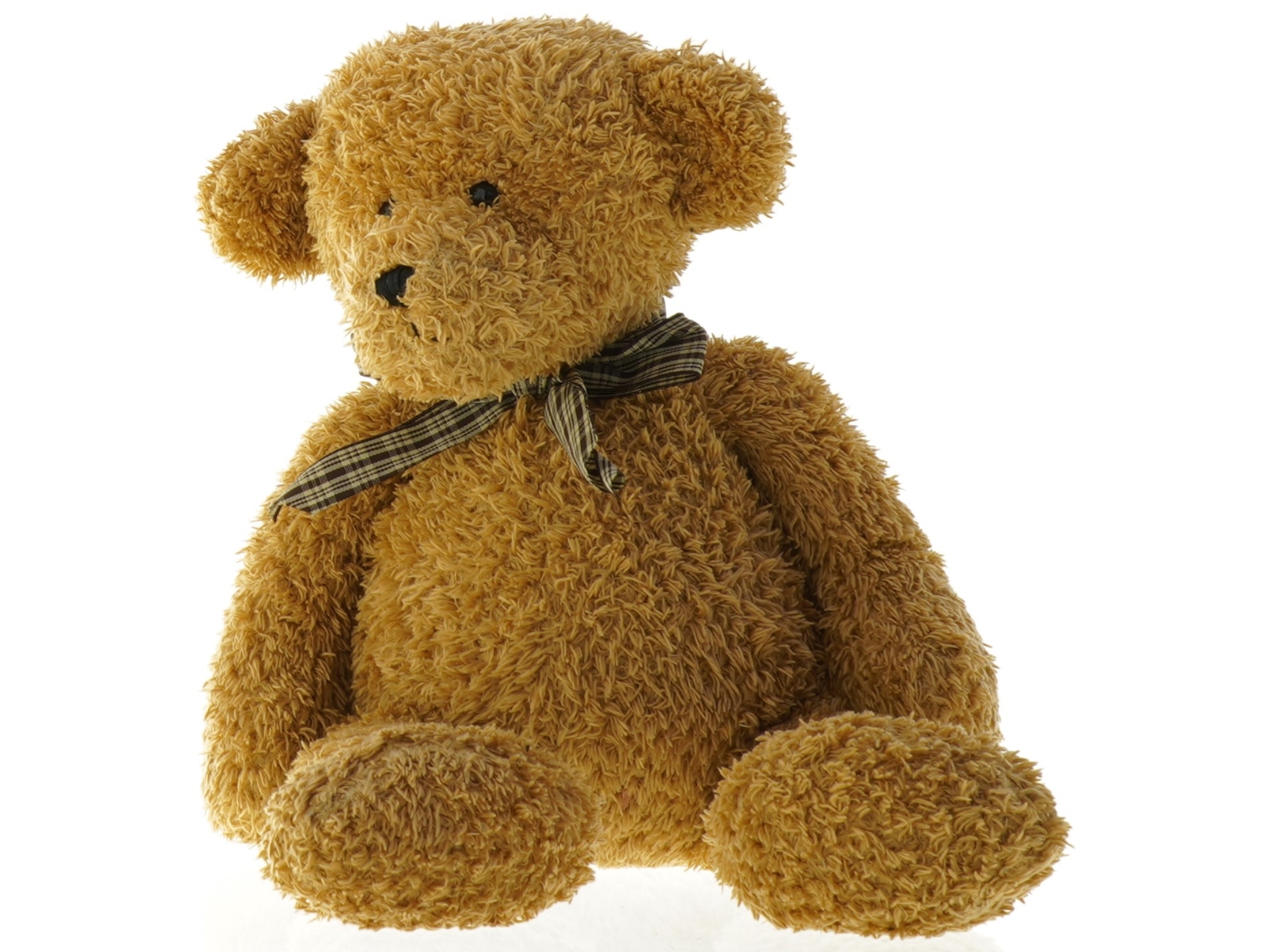 Teddykompaniet (str. 43 x 27 cm)