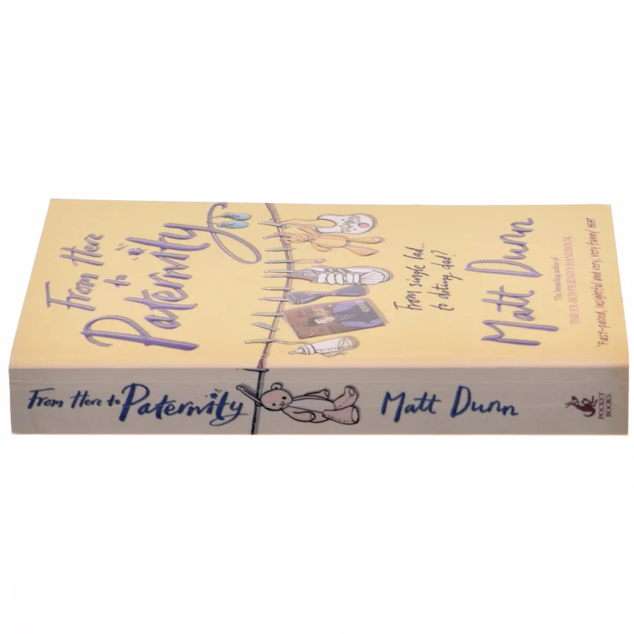 From Here to Paternity af Matt Dunn (Bog)