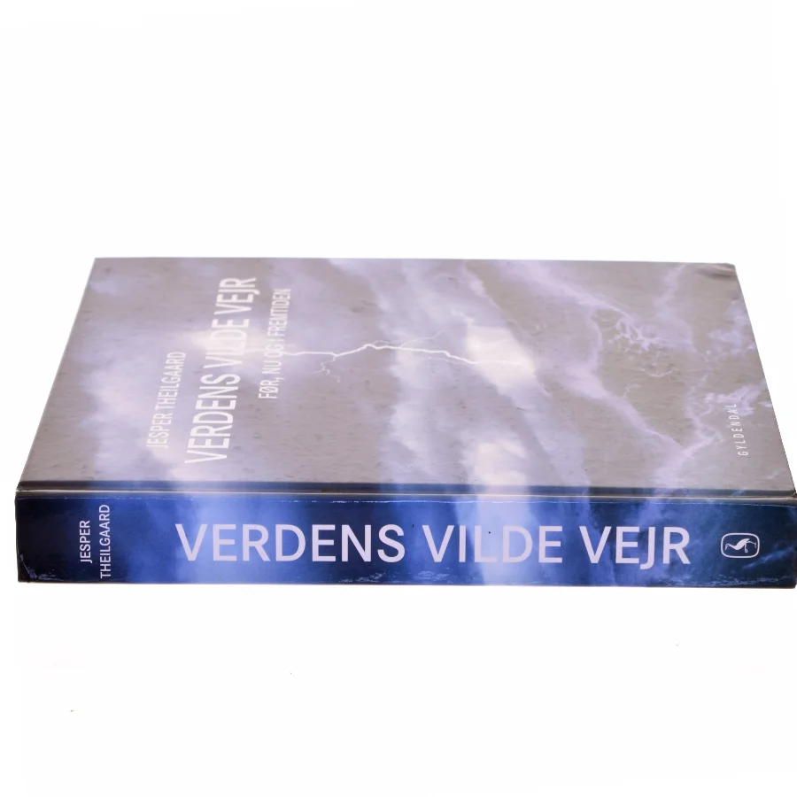 Verdens vilde vejr af Jesper Theilgaard (Bog)