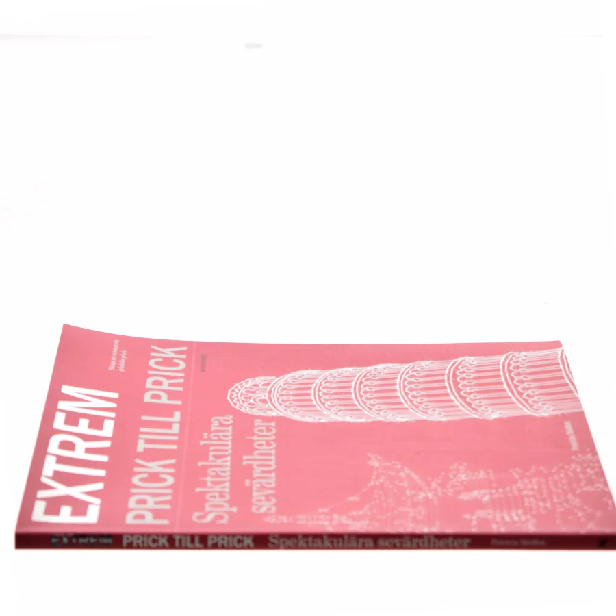 Extrem Prick till Prick af Patricia Moffett (Bog)