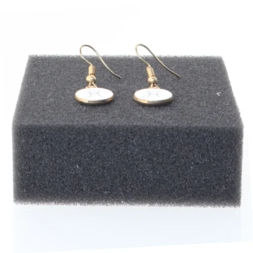 Fisken stjernetegn øreringe (str. Ø 14 mm)