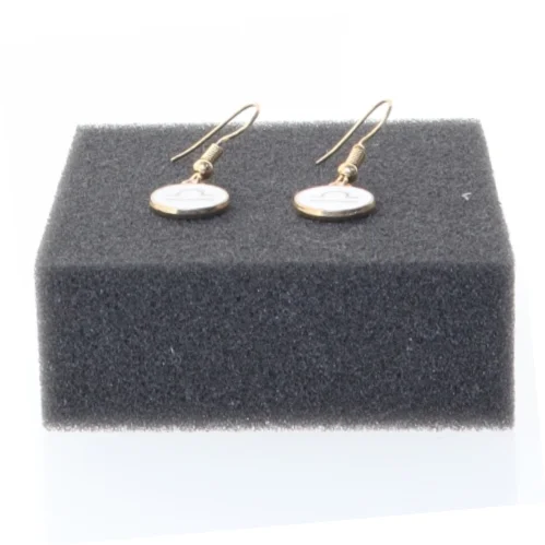 Øreringe med stjernetegn (str. Ø 14 mm)