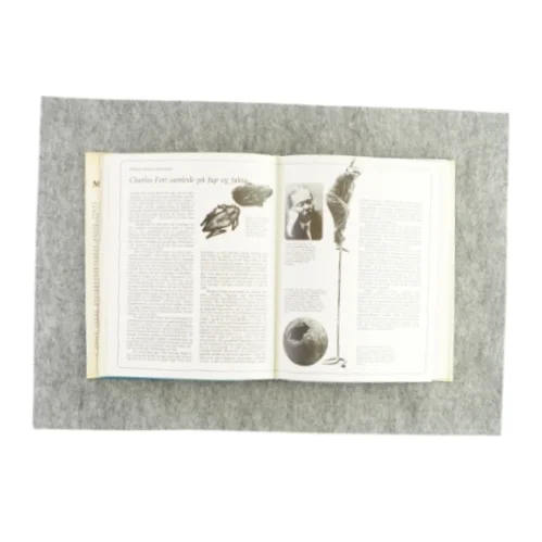 Magi og mystik (Bog)