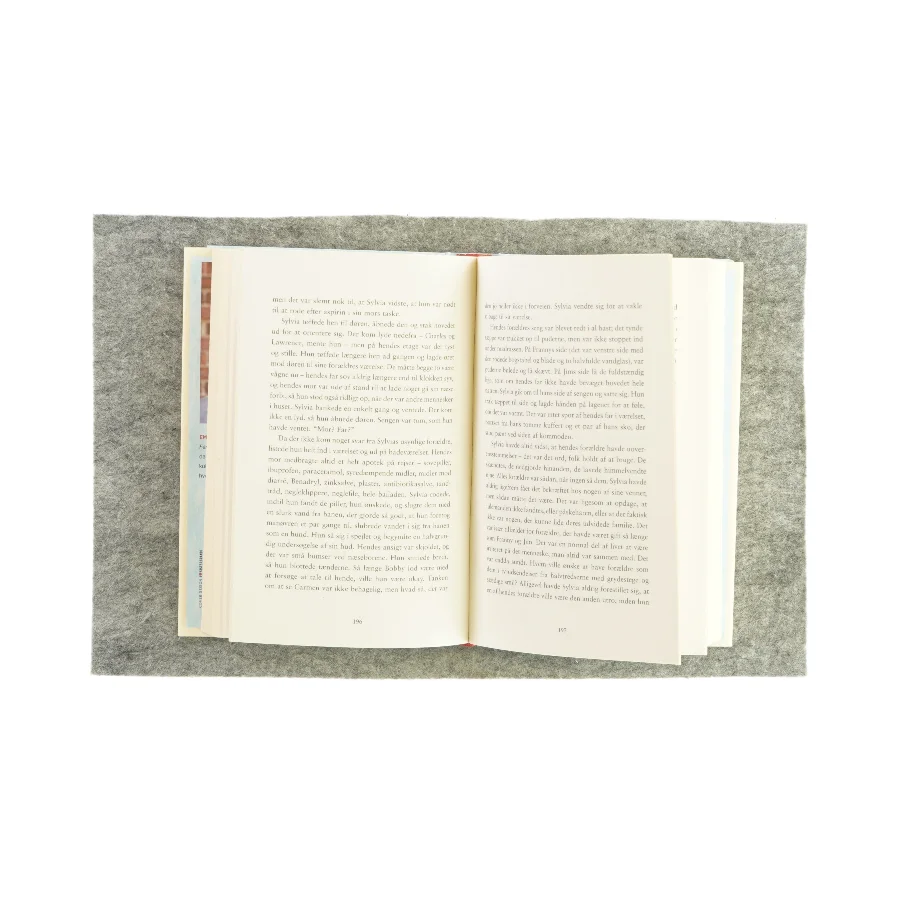 Feriegæsterne af Emma Straus (bog)