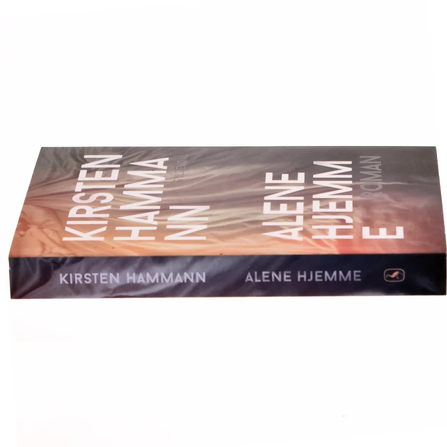 Alene hjemme : roman (Klassesæt) af Kirsten Hammann (Bog)