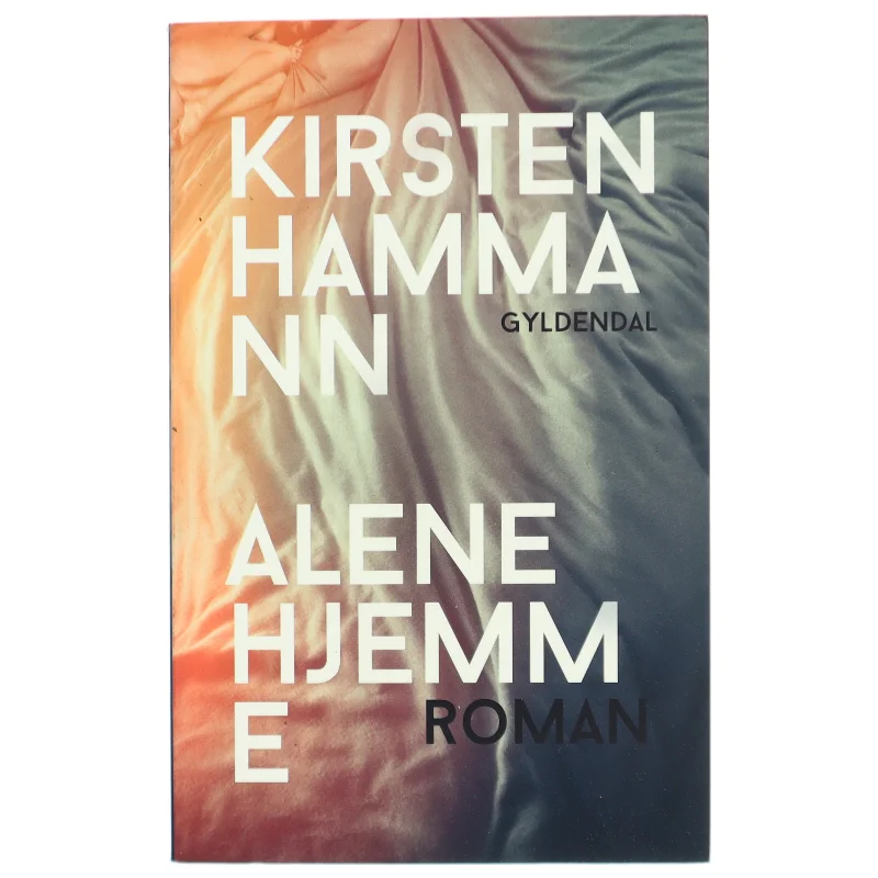 Alene hjemme : roman (Klassesæt) af Kirsten Hammann (Bog)