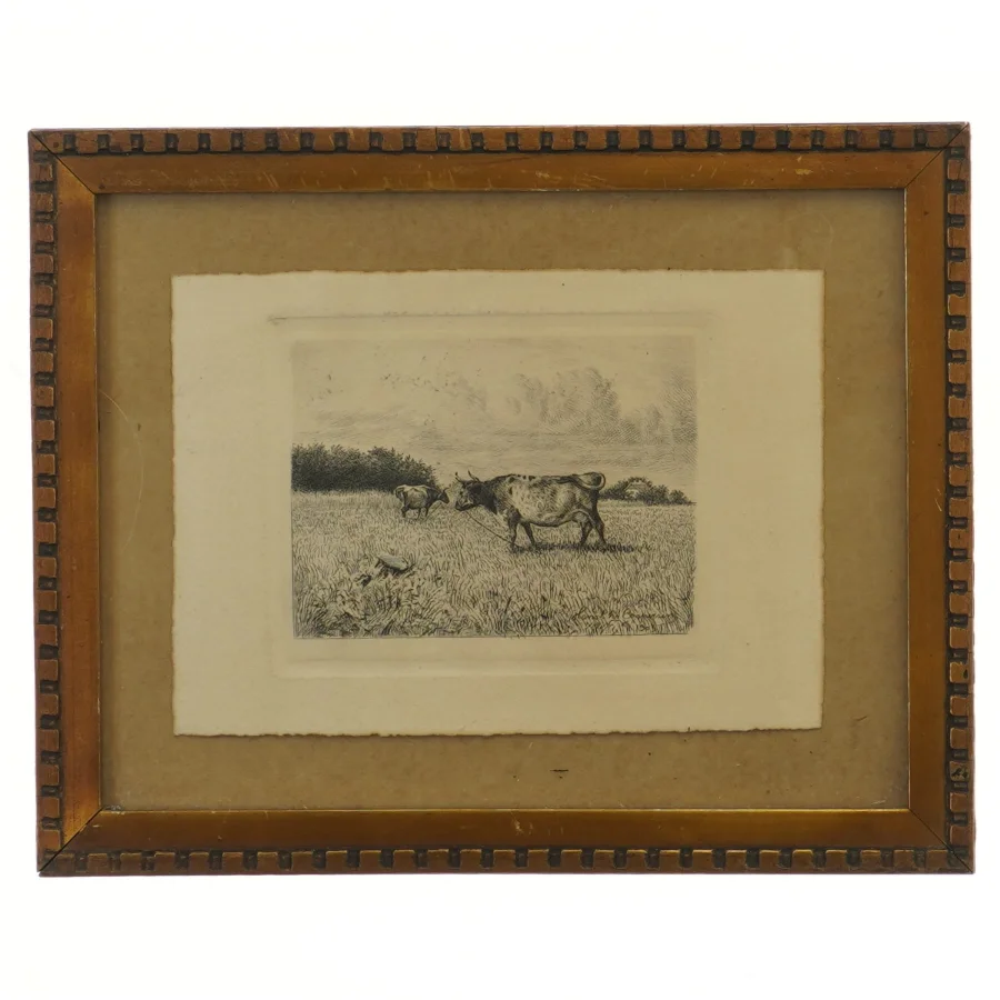Billede med ramme (str. 28,5x23,5 cm)