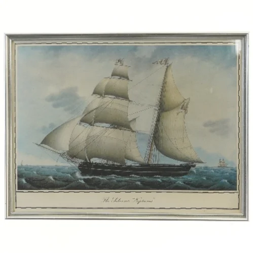 Skibsillustration i ramme (str. 36x27,5 cm)