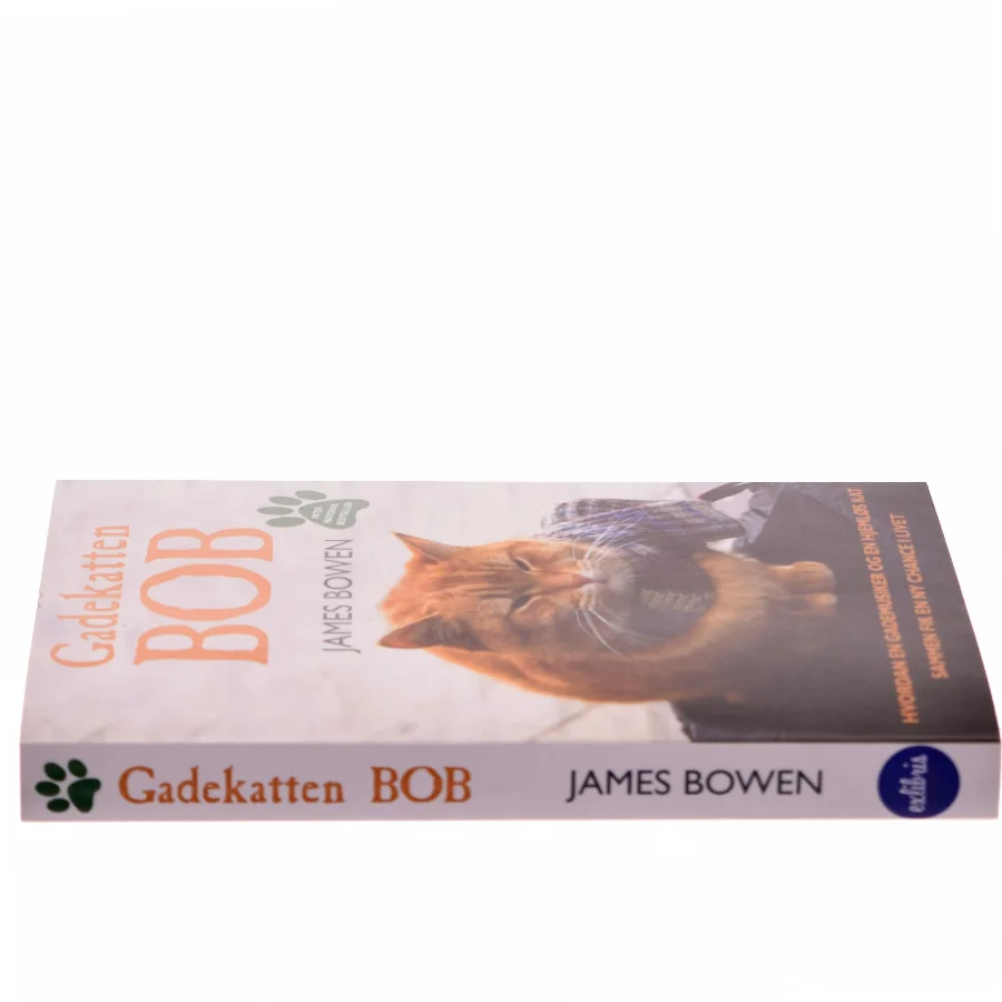 Gadekatten Bob : hvordan en gademusiker og en hjemløs kat sammen fik en ny chance i livet af James Bowen (f. 1979) (Bog)