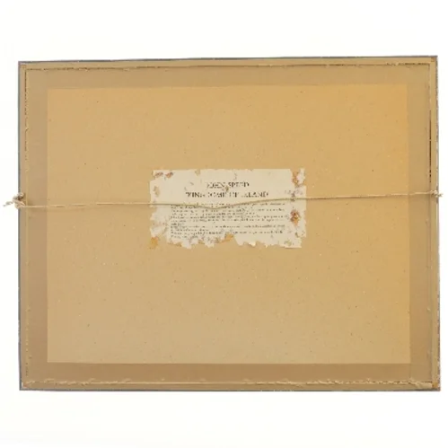 Kort over Irland i ramme (str. 55x43,5 cm)