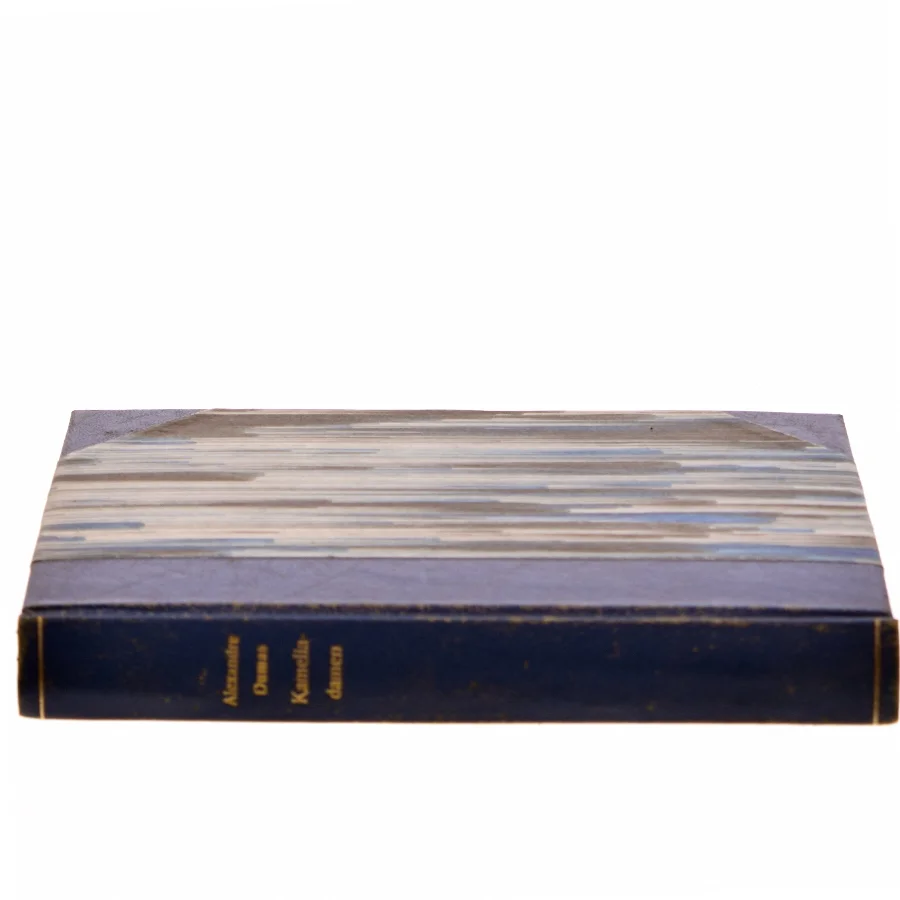 Kameliadamen af Alexandre Dumas (Bog)