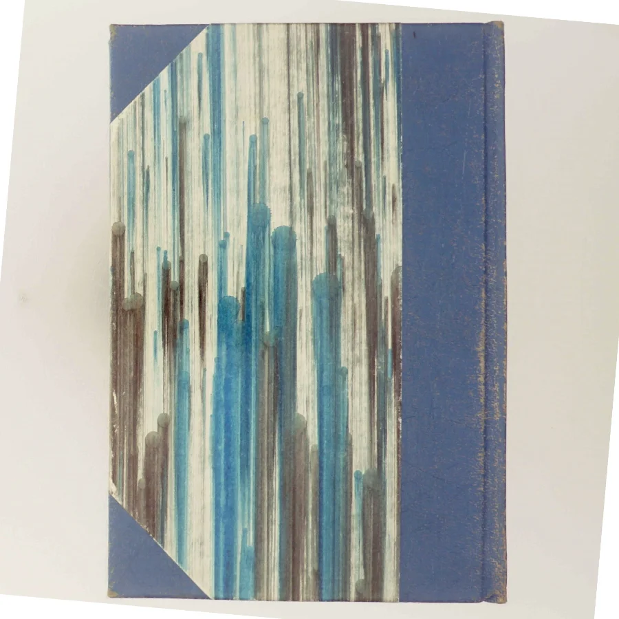 Kameliadamen af Alexandre Dumas (Bog)