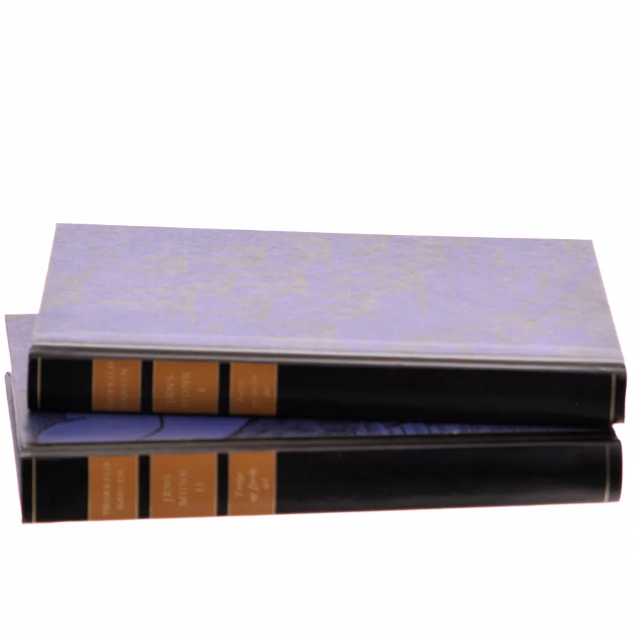 Jens Munk af Thorkild Hansen (Bog)