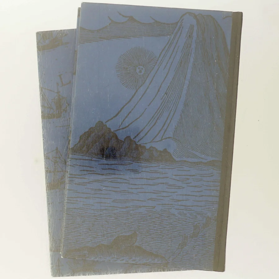 Jens Munk af Thorkild Hansen (Bog)