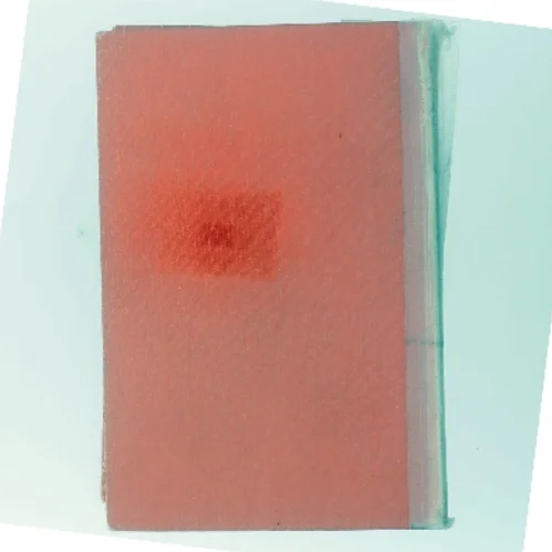 Fremmedordbogen (Bog)