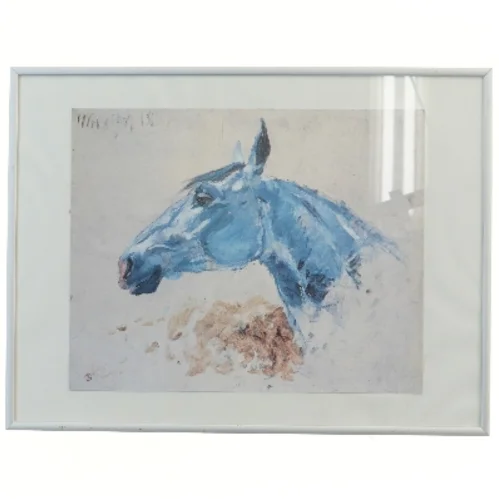 Indrammet billede af hest (str. 41x31 cm)