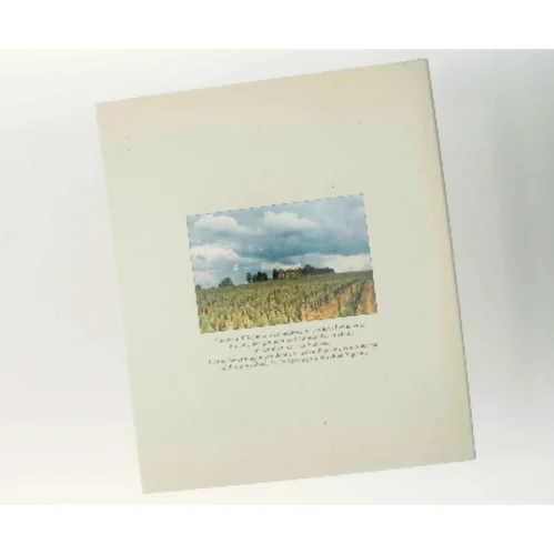 Yquem af Michel Guillard (Bog)