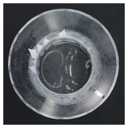 Glasvase med hvidt mønster (str. Ø 15 cm længde 21,5 cm)