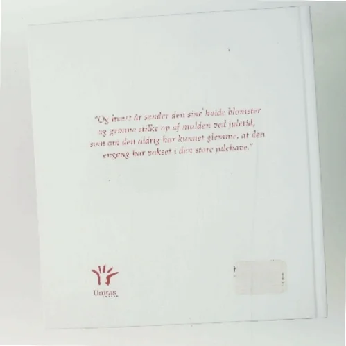 Legenden om juleroserne af Selma Lagerlöf (Bog)