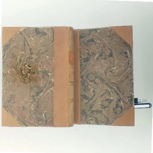 Adam Homo af Fr. Paludan-Müller (Bog)