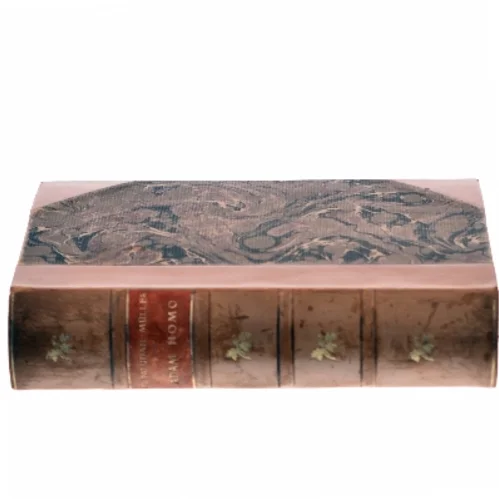 Adam Homo af Fr. Paludan-Müller (Bog)