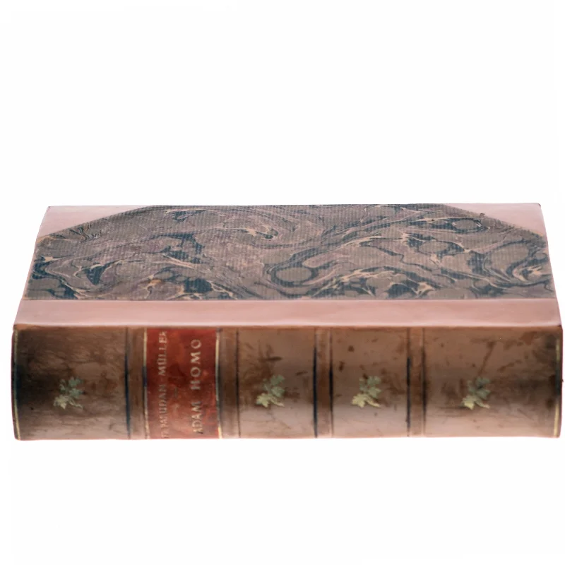 Adam Homo af Fr. Paludan-Müller (Bog)