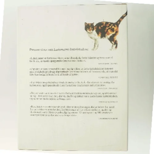 Katte leksikon (Bog)
