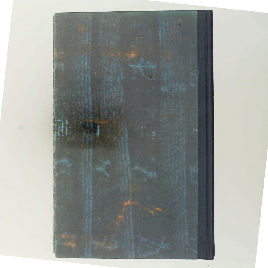 Hør vinden i de tomme huse af Else Fischer (Bog)