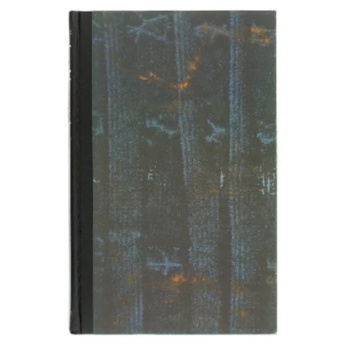 Hør vinden i de tomme huse af Else Fischer (Bog)